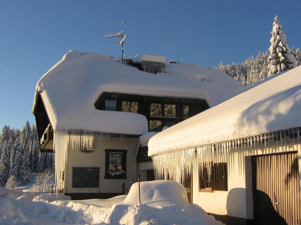 Property building, Winter