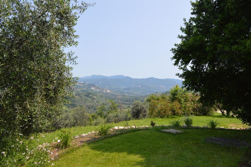 Natural landscape, Garden, Garden view, Mountain view