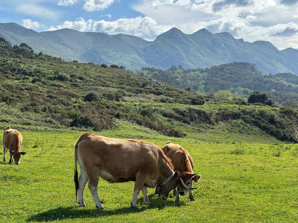 Aldea del Trasgu Hotel in Asturias