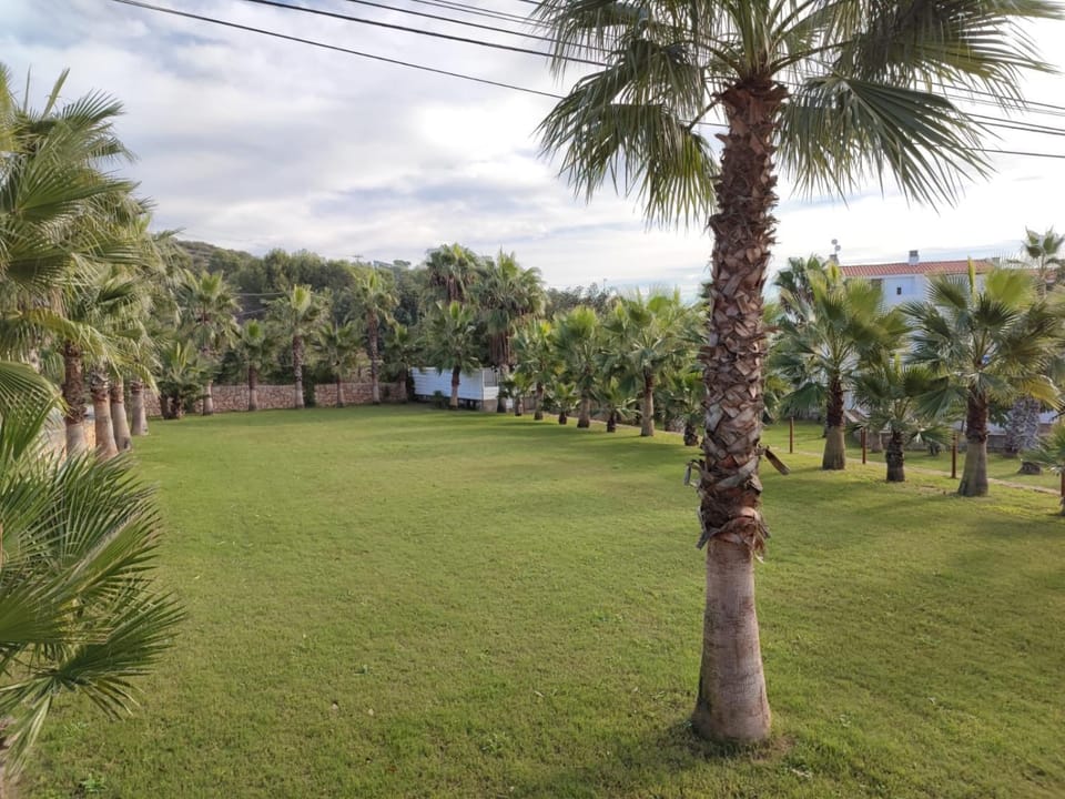 Natural landscape, Garden