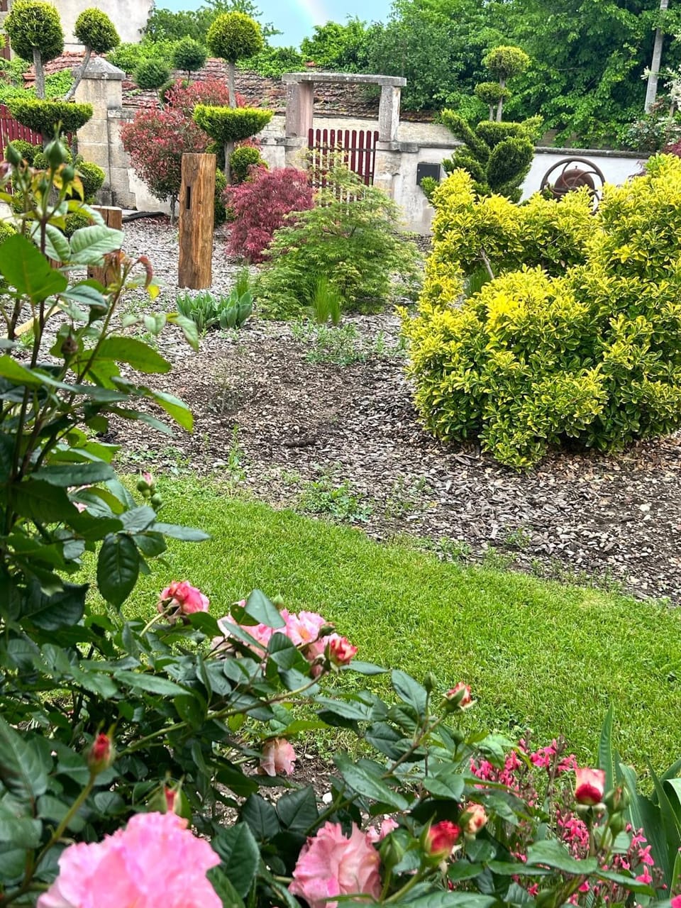 Garden view