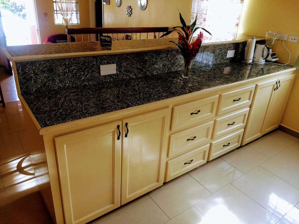 Coffee/tea facilities, Kitchen or kitchenette, minibar, stove