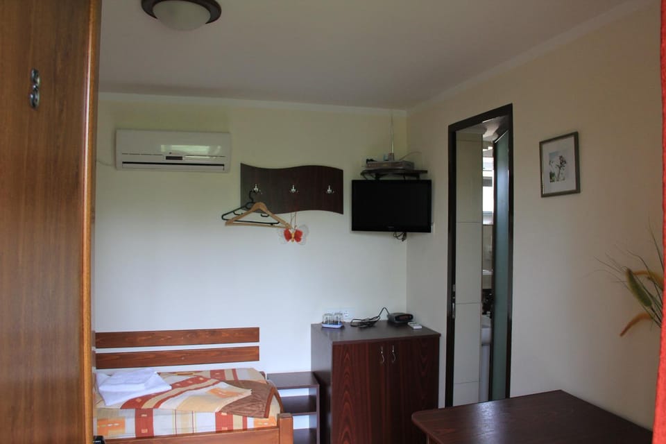 TV and multimedia, Photo of the whole room, Bedroom, air conditioner