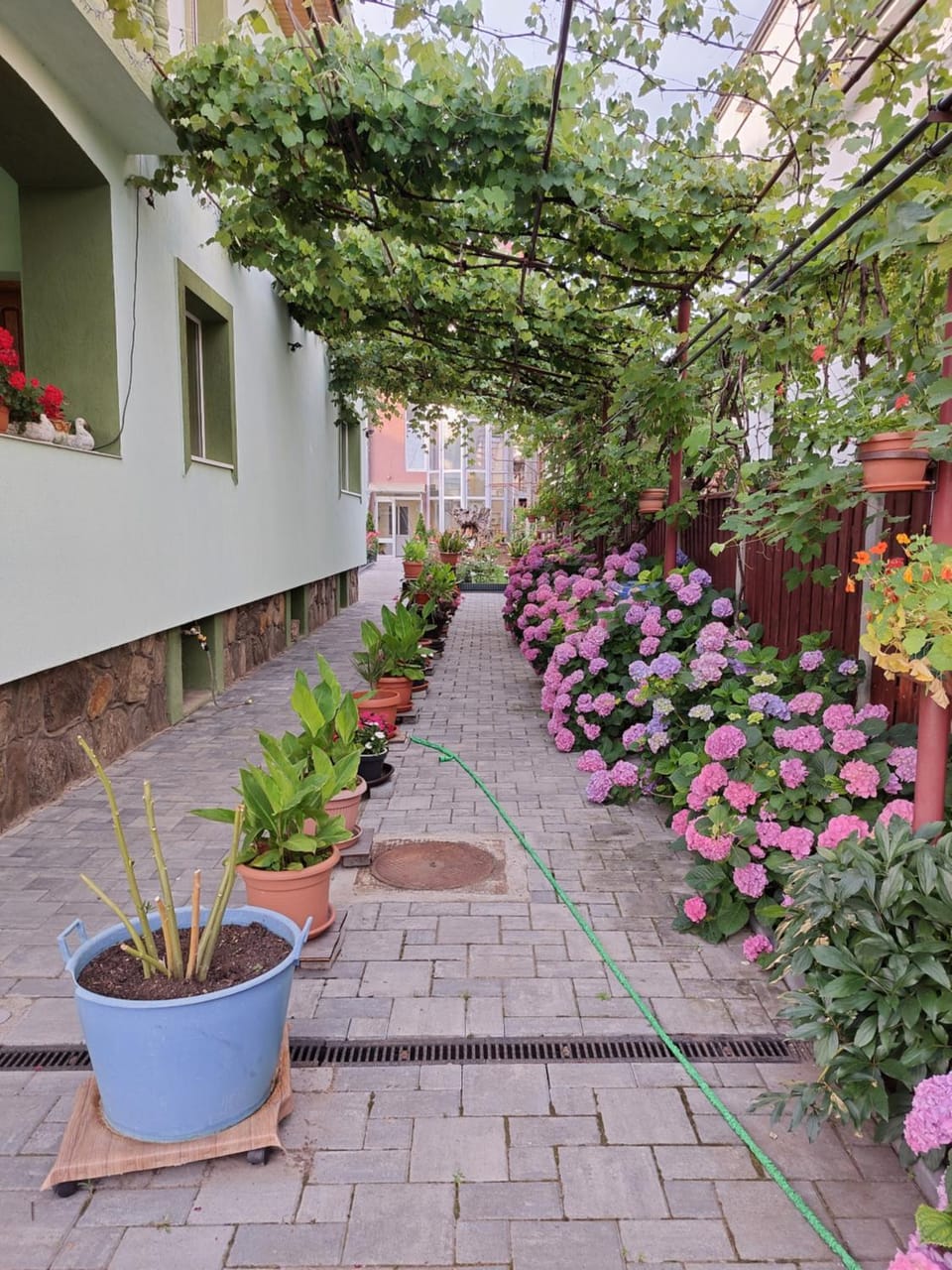 Garden view