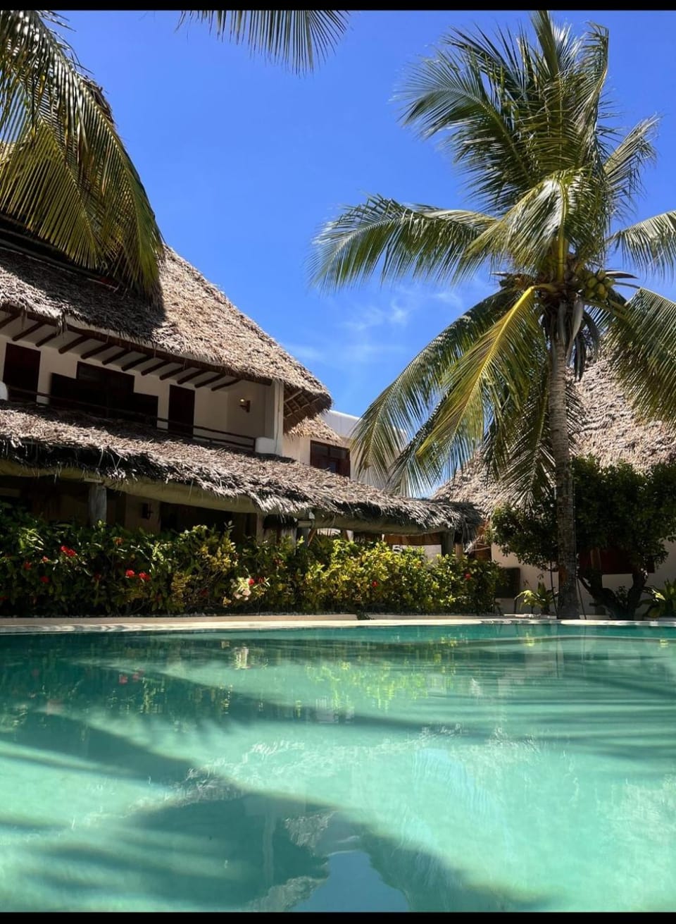 Property building, Day, Natural landscape, Garden, Garden view, Pool view, Swimming pool