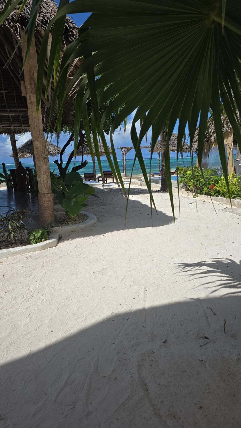 View (from property/room), Beach, Pool view, Sea view, Swimming pool