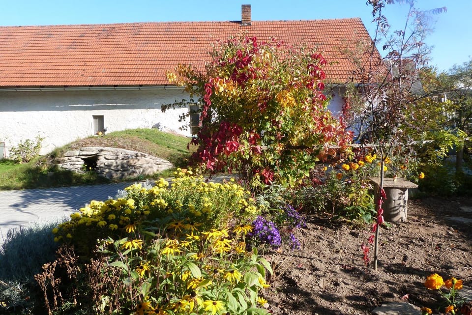 Inner courtyard view