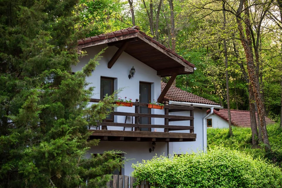 Arsenal Park Transilvania Campground/ 
RV Resort in Romania