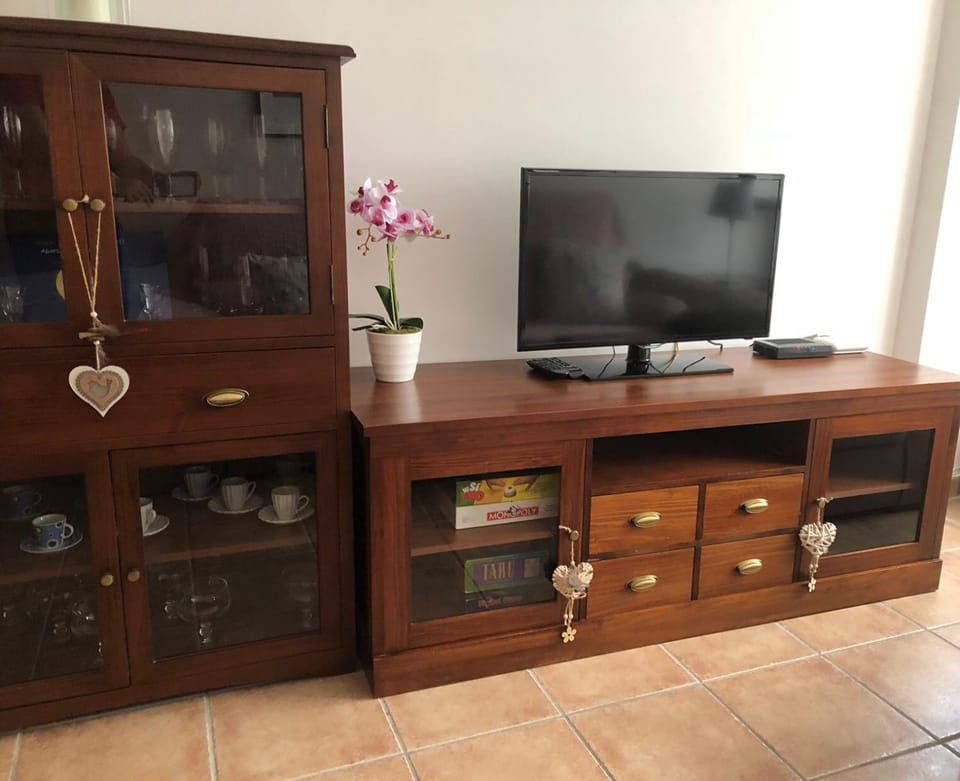 TV and multimedia