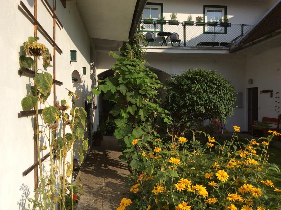 Inner courtyard view