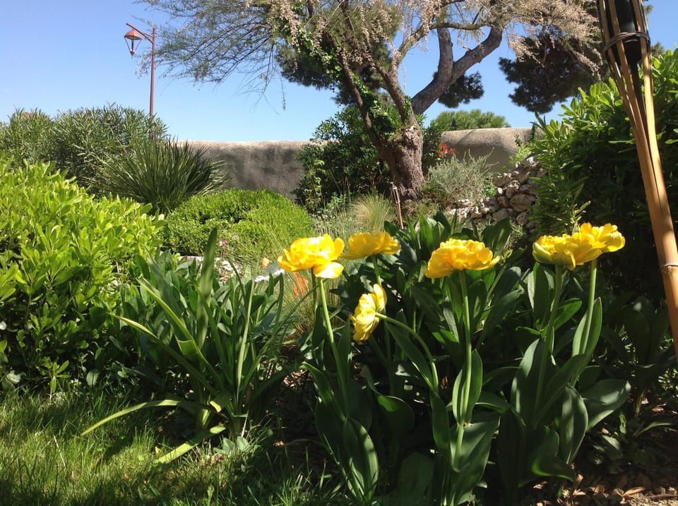 Facade/entrance, Garden, Garden view