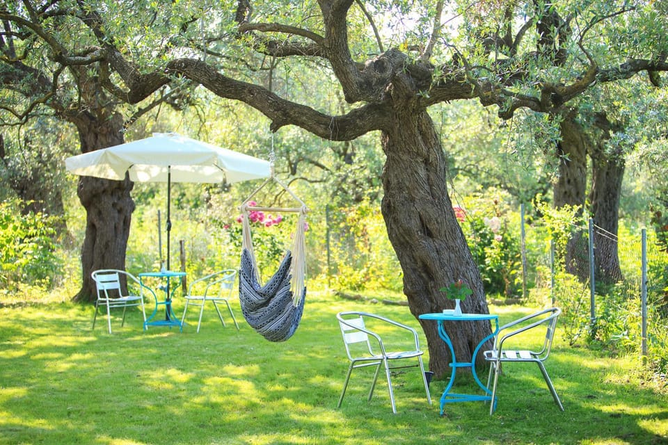 The Olive Garden Apartment in Thasos