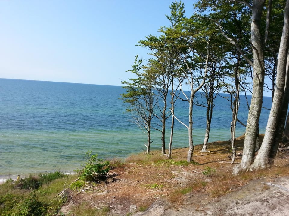 Pokoje i apartamenty przy Sosnowej Apartment in Pomeranian Voivodeship