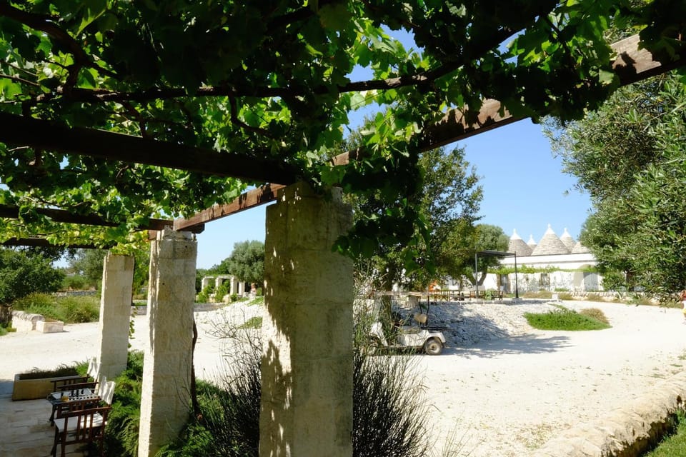 Garden, Garden view