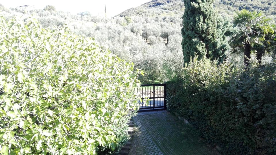 Neighbourhood, Natural landscape, Garden view, Mountain view, Street view
