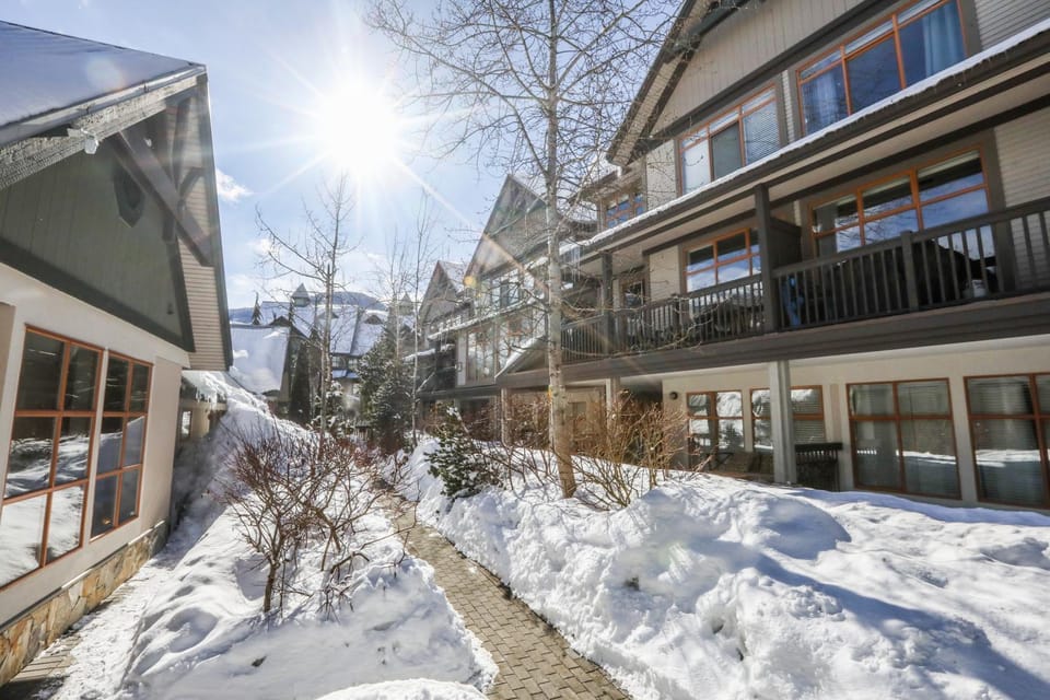 Property building, Facade/entrance, Winter, Garden