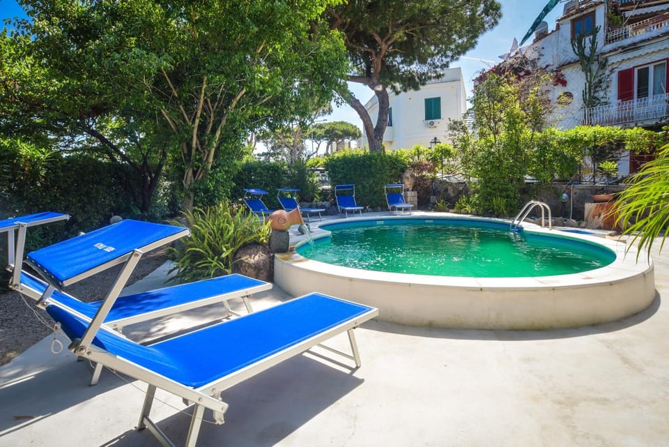 Spring, Day, Natural landscape, Garden, Garden view, Pool view, Swimming pool, sunbed