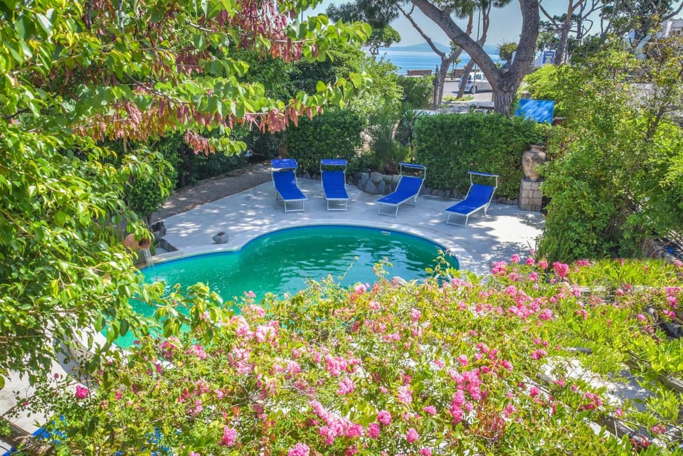 Spring, Day, Natural landscape, Garden, Garden view, Pool view, Swimming pool, sunbed