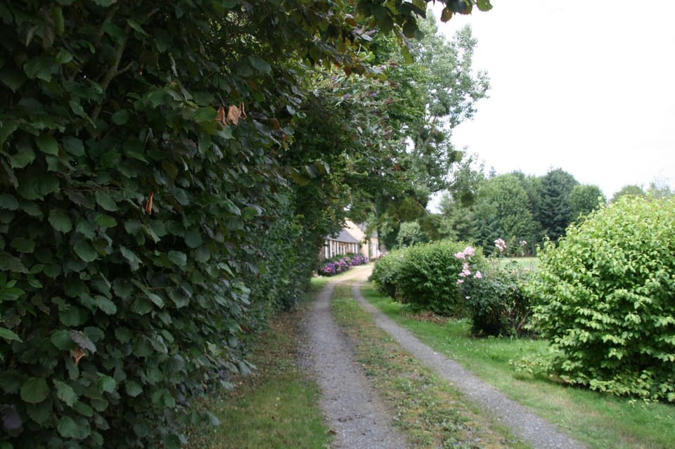 Natural landscape, Garden, Cycling
