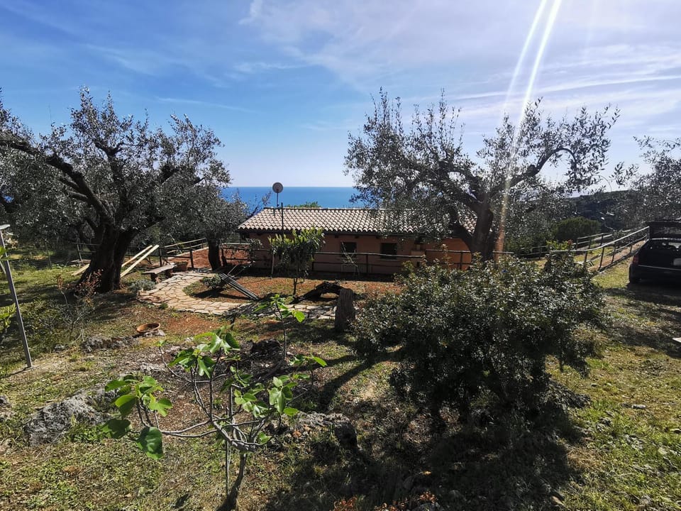 Garden, Garden view