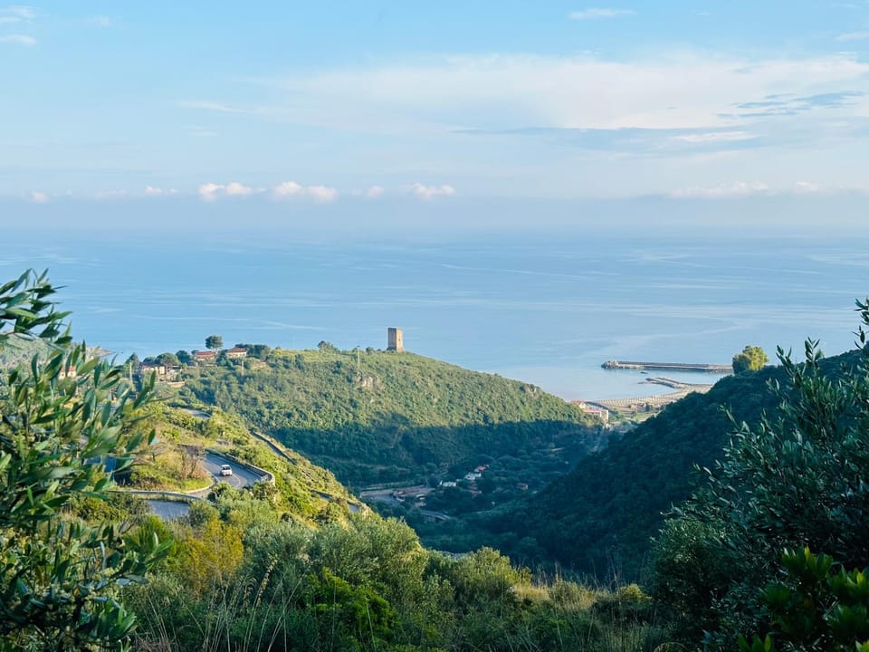 Sea view