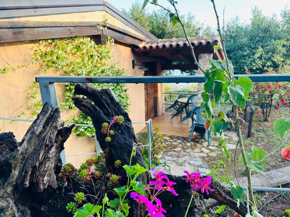 Facade/entrance, Garden, Garden view