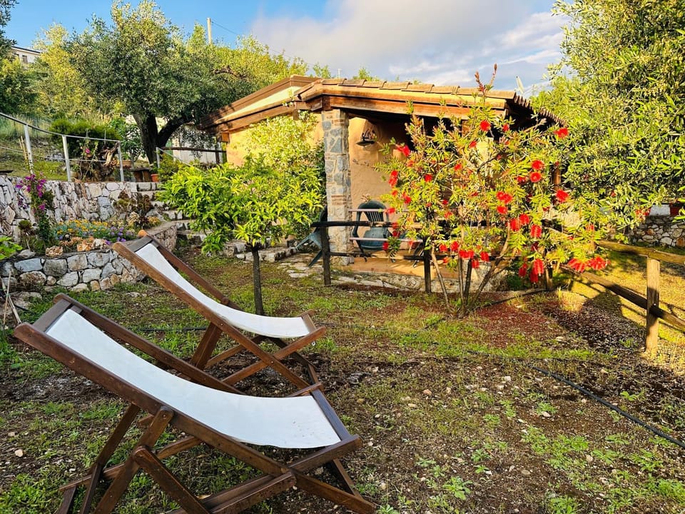 Natural landscape, Garden