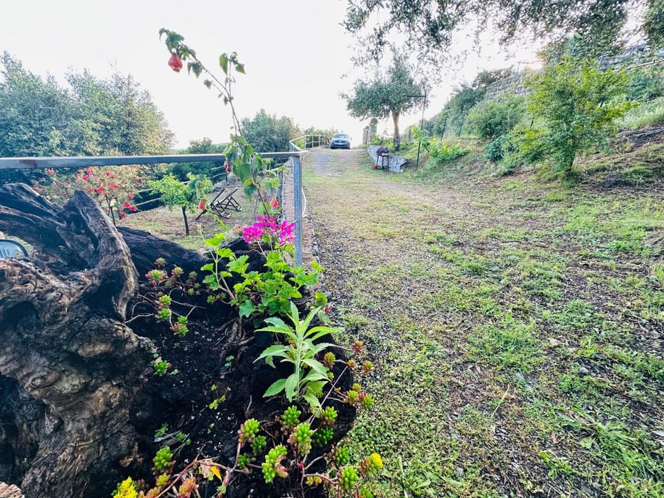 Garden, Parking
