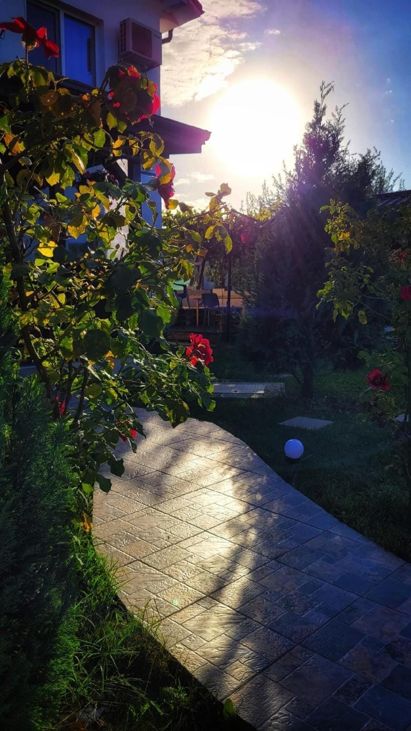 Casa Alba Bed and Breakfast in Constanța County
