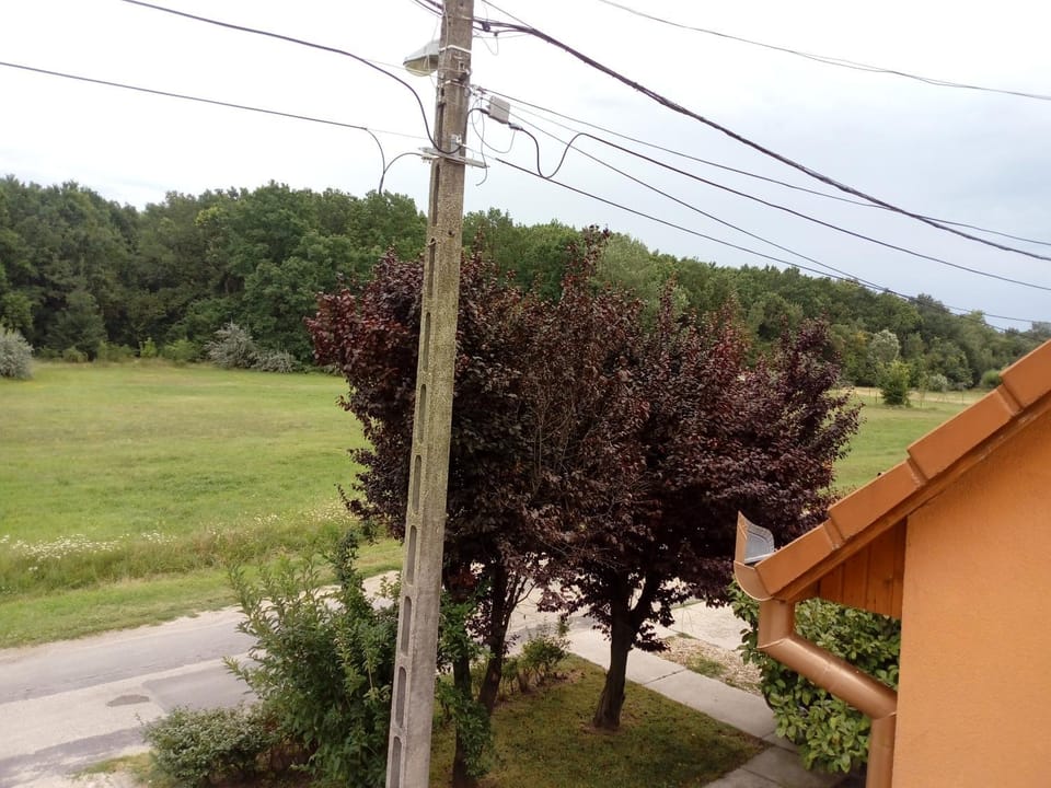View (from property/room)