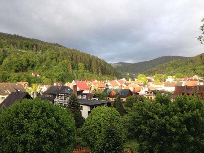 View (from property/room)