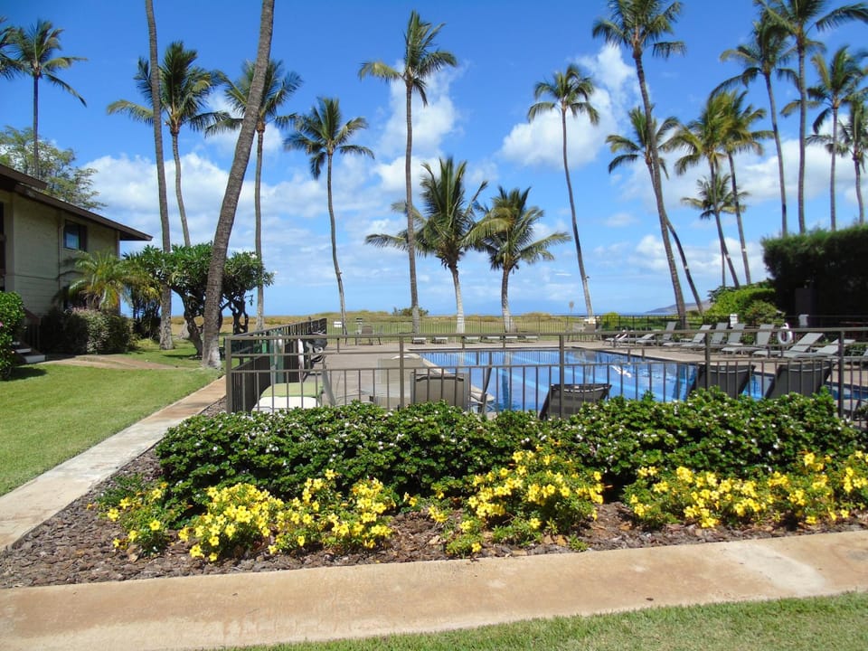 Beach, Pool view, Sea view, Area and facilities, Swimming pool