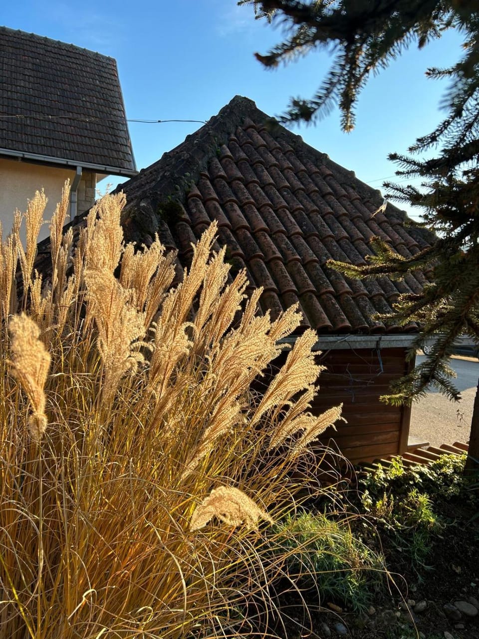 Country house Todor Country House in Serbia