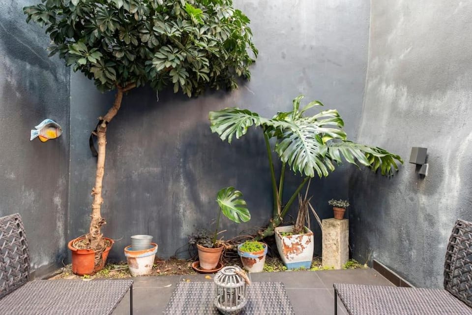 16 RC - Central Lisbon Patio Apartment in Lisbon