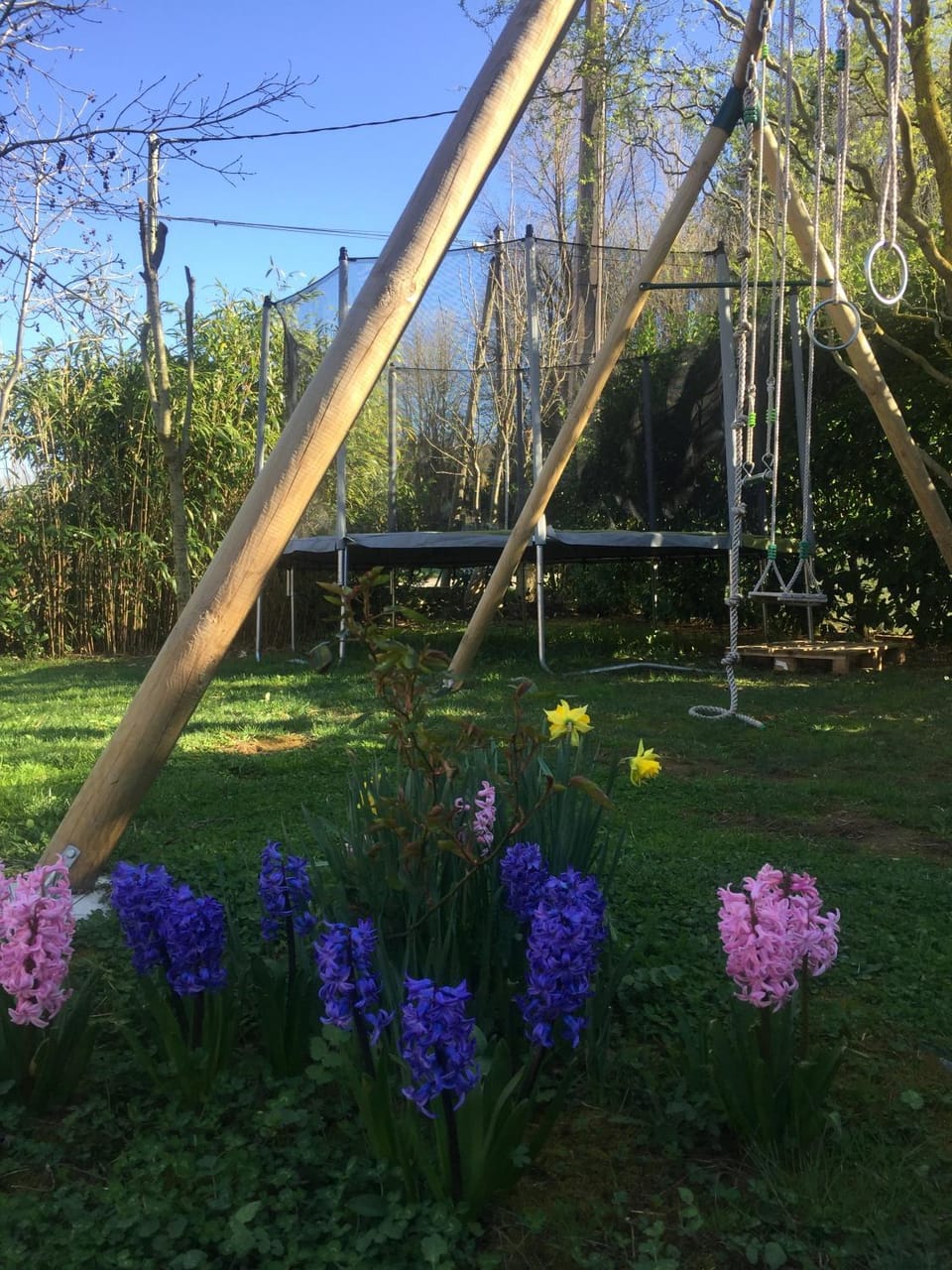 Children play ground