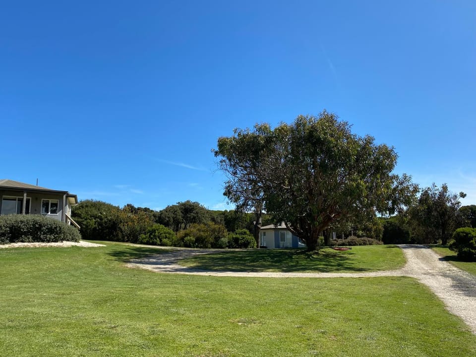 Property building, Natural landscape, Garden