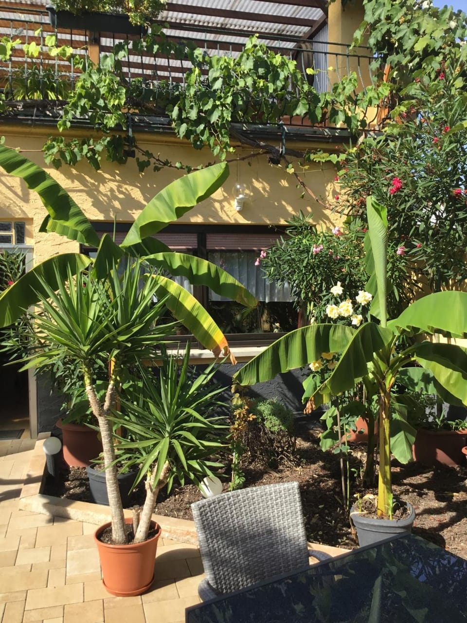 Bed and Breakfast - Rheingauer Hof Bed and Breakfast in Oestrich-Winkel