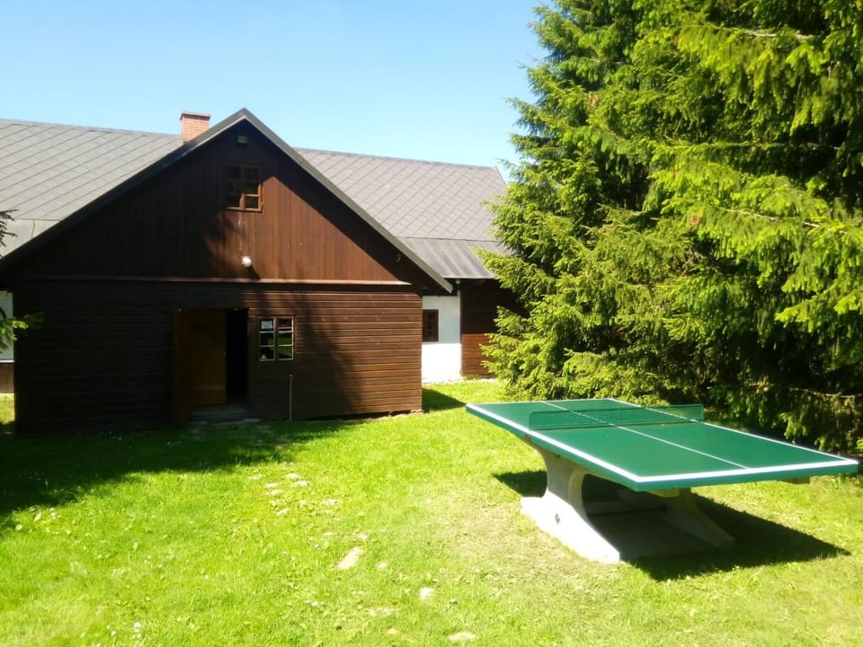Garden, Table tennis