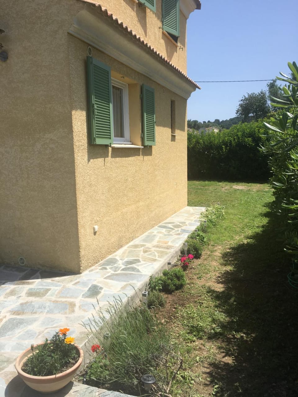 Garden view