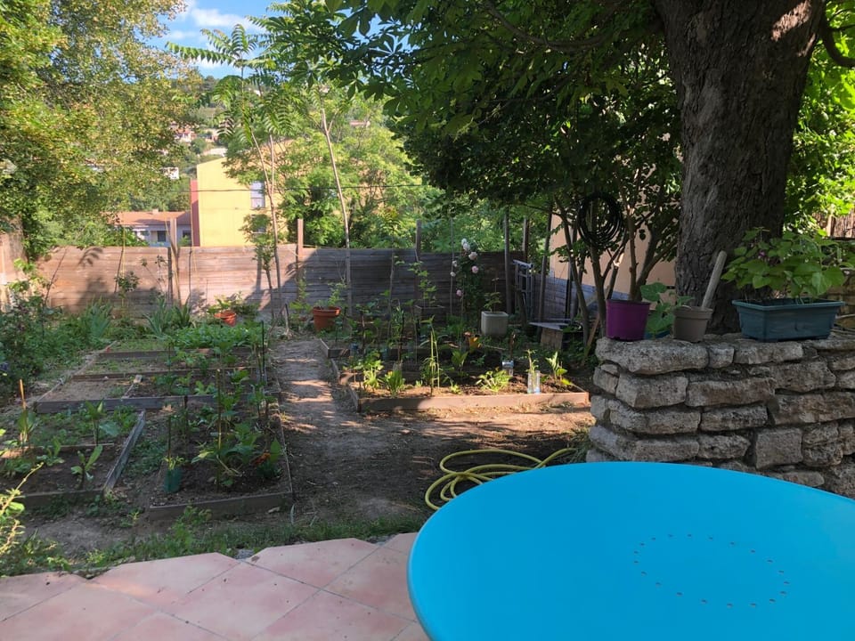 Balcony/Terrace, Garden view