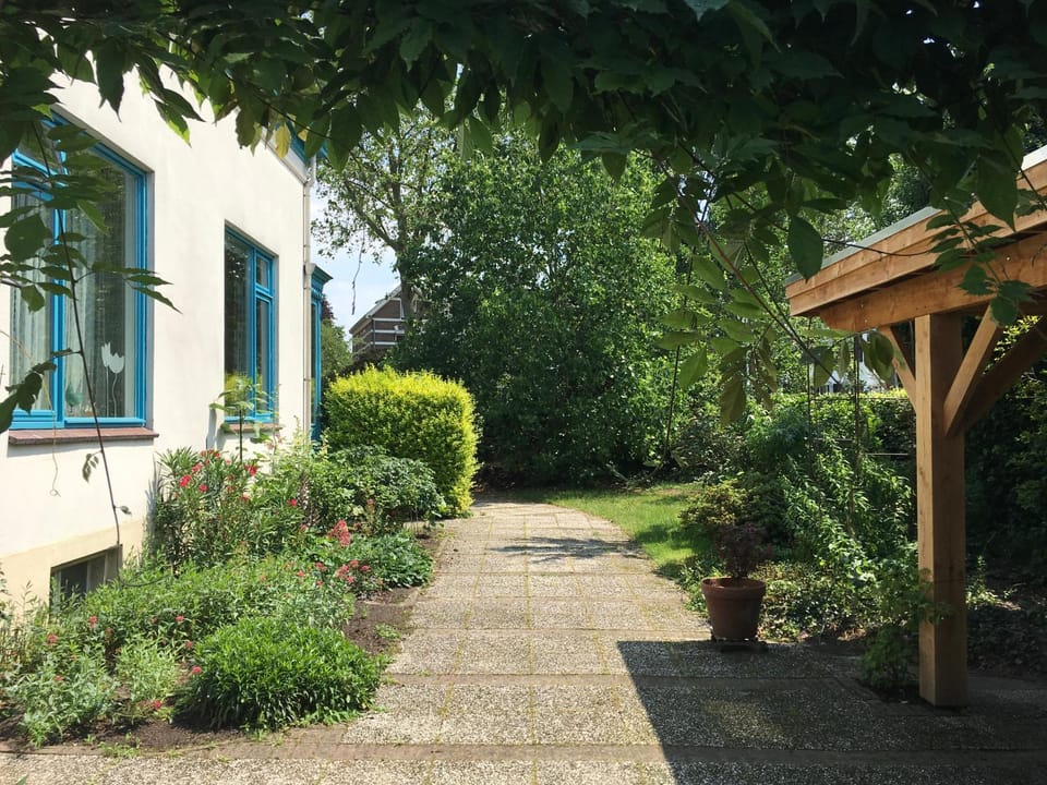 Patio, Garden
