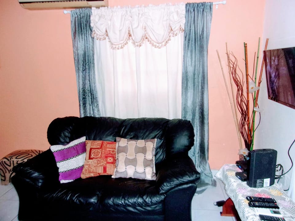 Central Oaklands Kingston Apt Apartment in Kingston