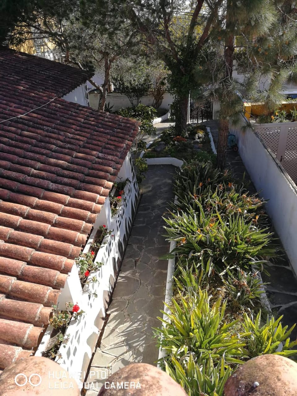 Garden, Garden view