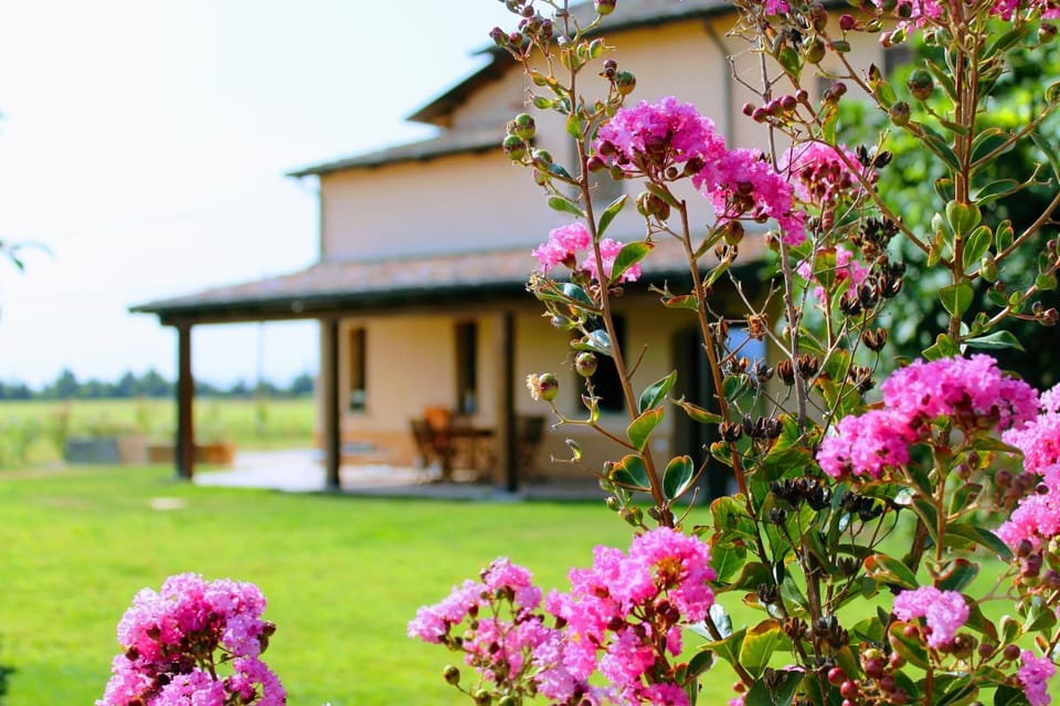 Garden, Garden view