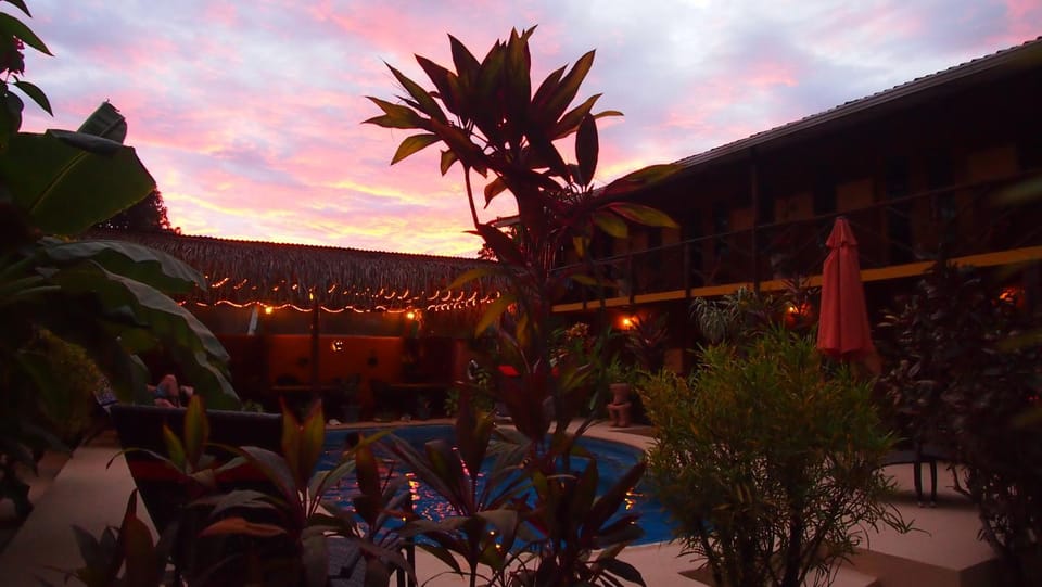 Patio, Garden, Swimming pool