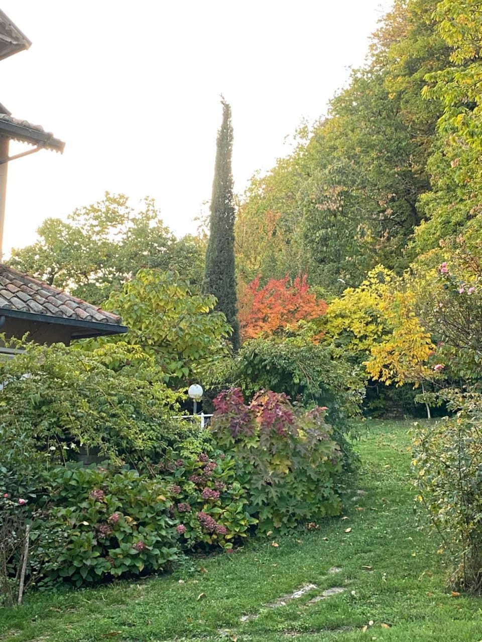 Hotel Parco Erosa Hotel in Abbadia San Salvatore