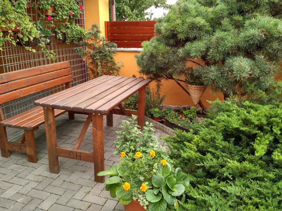 Garden, Seating area