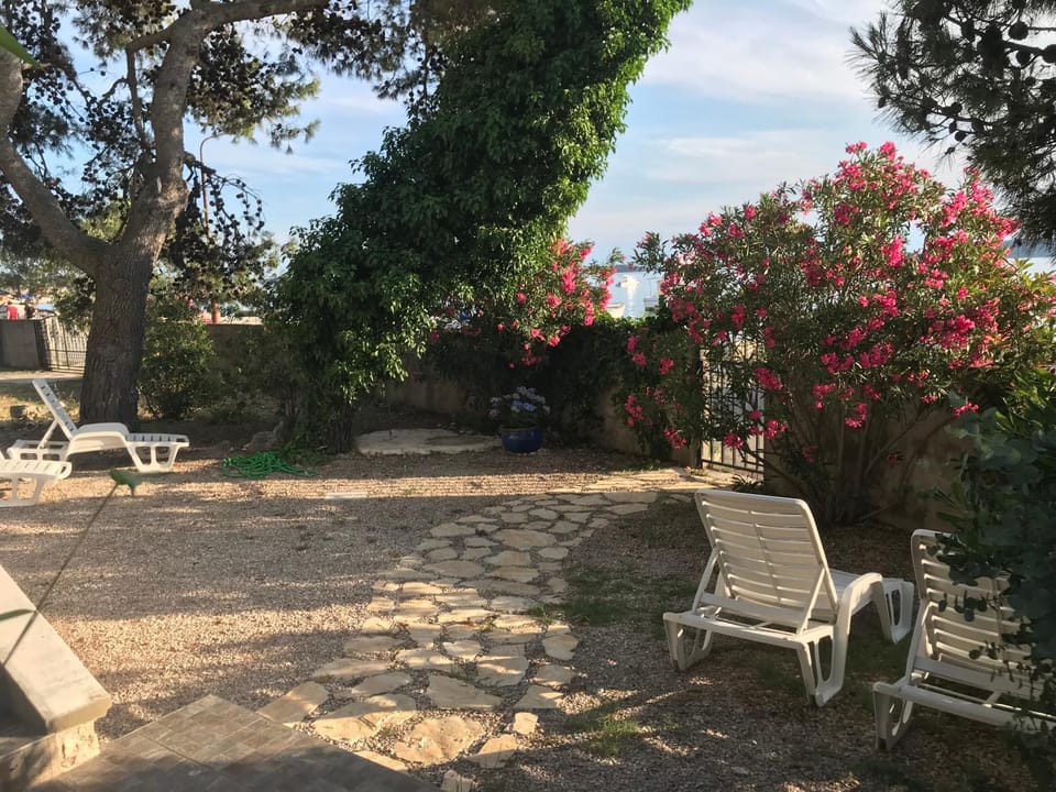 Garden, Garden view, sunbed