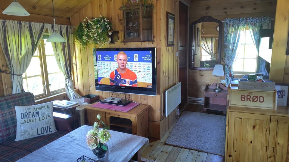 Bed, TV and multimedia, Kitchen or kitchenette, Living room, Seating area, Dining area, Bedroom