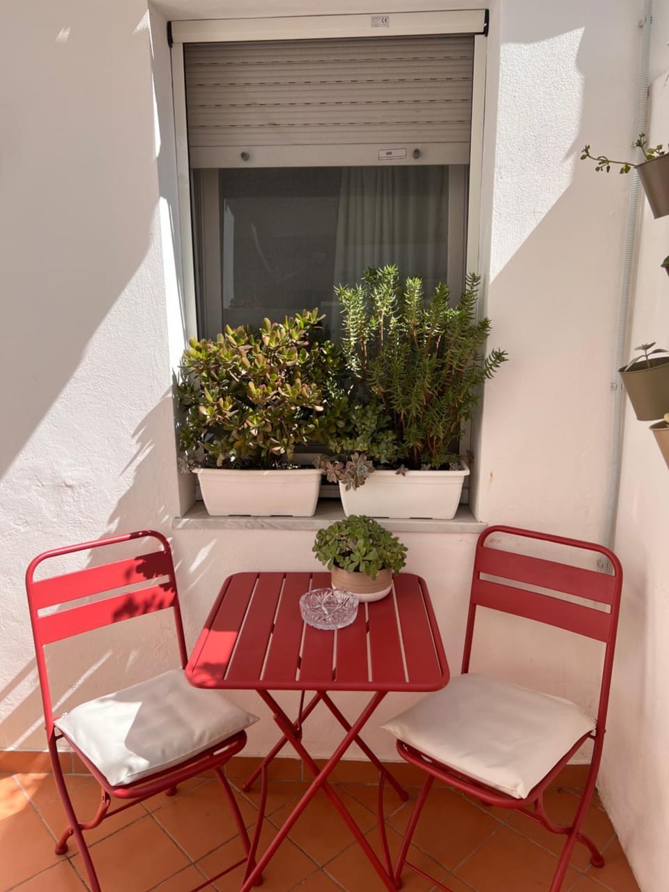 Patio, Day